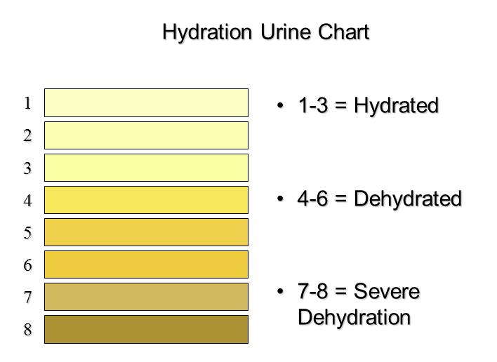 Hydration Chart